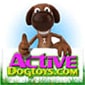 Active Dog Toys