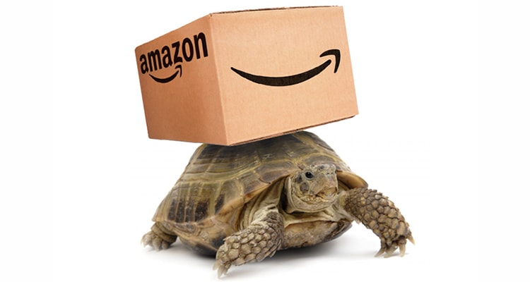 amazon no rush shipping