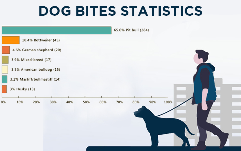 Some Statistics About Dog Bites 