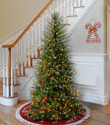 Dunhill fir slim Christmas tree