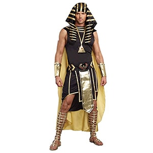 Dreamgirl King Tut Costume