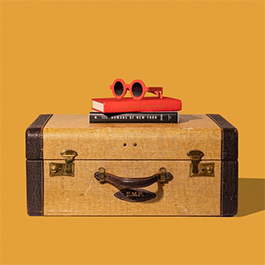 luggage