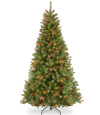 North Valley green spruce tree