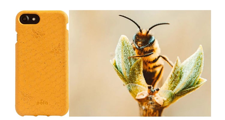 Pela honey Bee case collection
