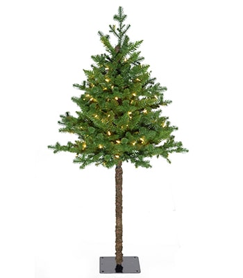 Perfect Holiday balsam Christmas tree
