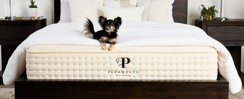 plushbeds-discount-code
