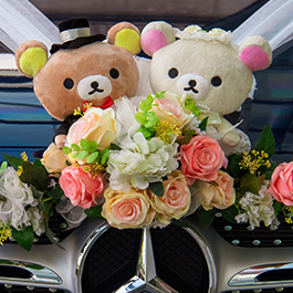 teddy-bear