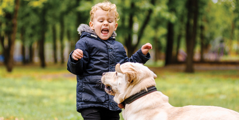 Why The Dog Bites Are Increasing In Children?