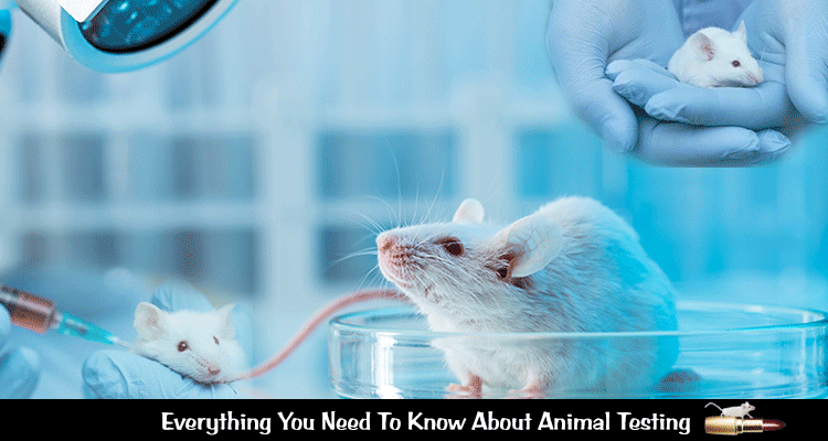 Animal testing cons essay