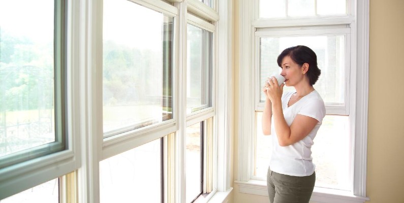 Stylish and Cost-Effective Solutions for Your Windows