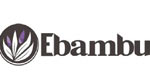 ebamboo discount code promo code