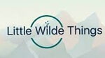 little wilde things coupon code discount code